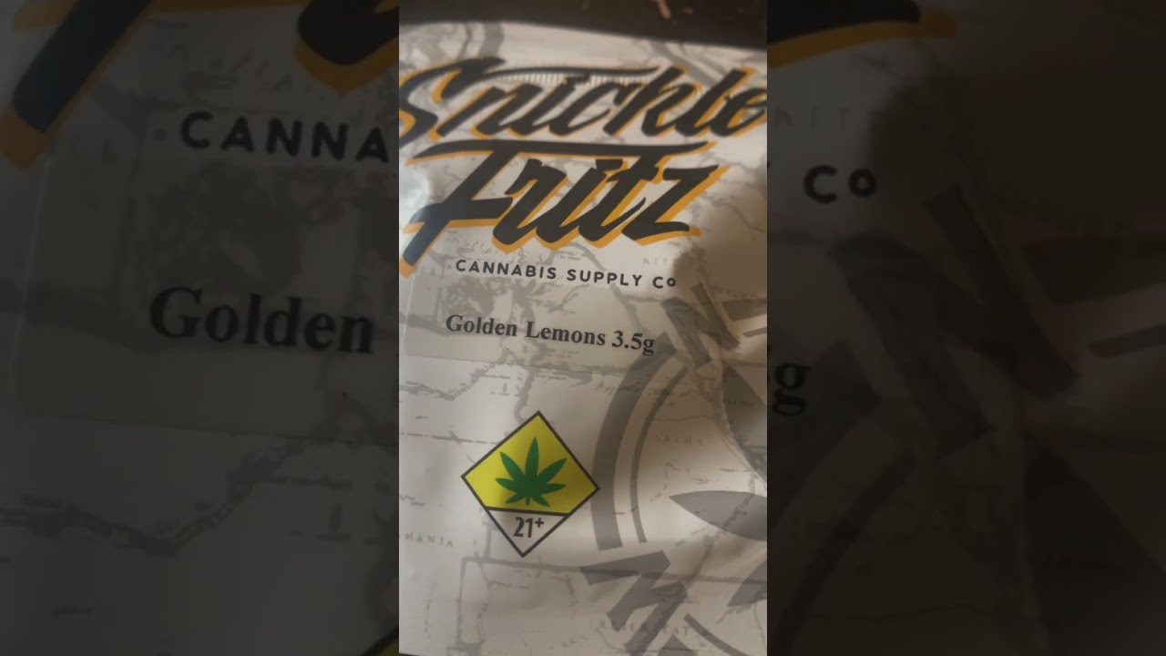 Snicker Fritz Golden Lemons Review #Shorts #cannabispodcast