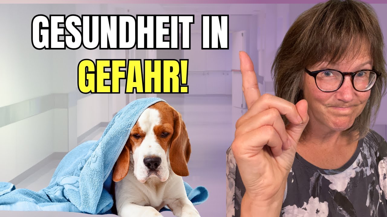 Magensäure Alarm, & Leaky gut: was das für die Verdauung bedeutet.