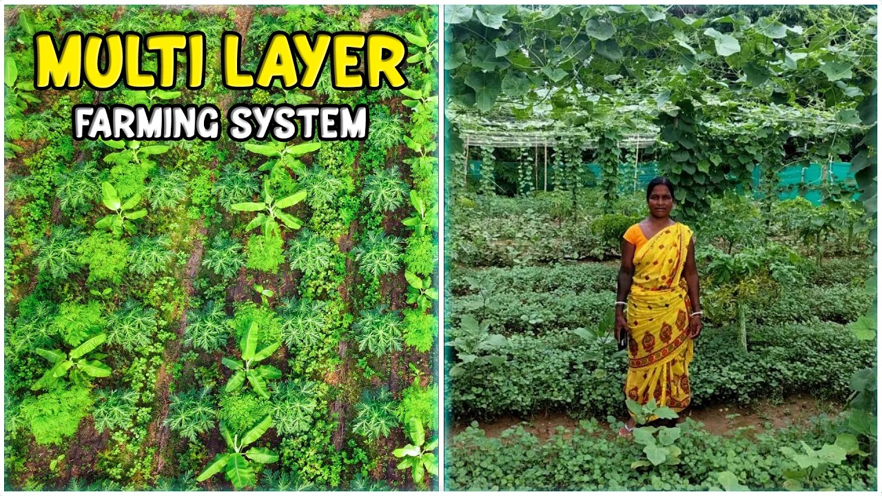 Multi-Layer Farming | Integrated Farming System