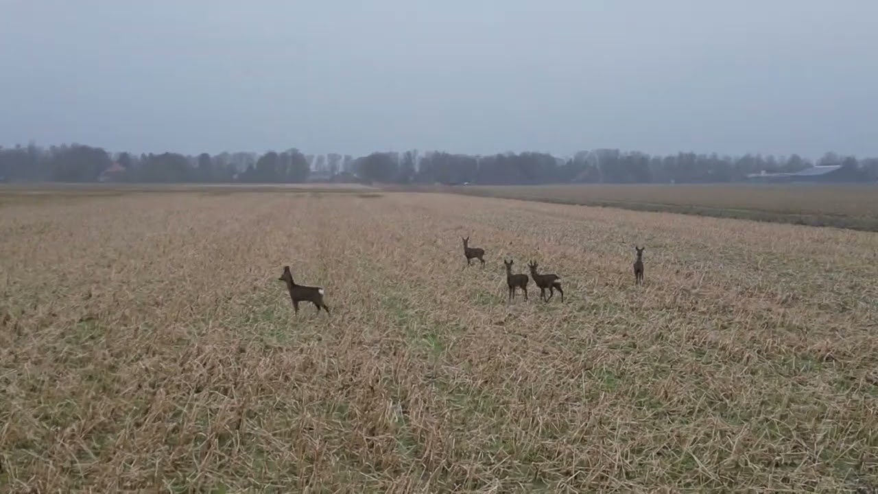 Bliskie spotkanie Dronem i Detektorystyka
