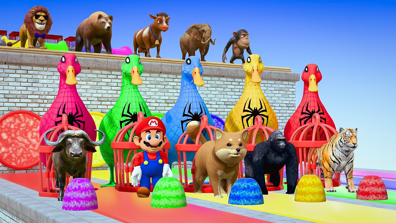 Long Slide Game with Colourful Duck Cow Tiger Gorilla Dog Elephant 3d Animal Game Funny 3d Animals