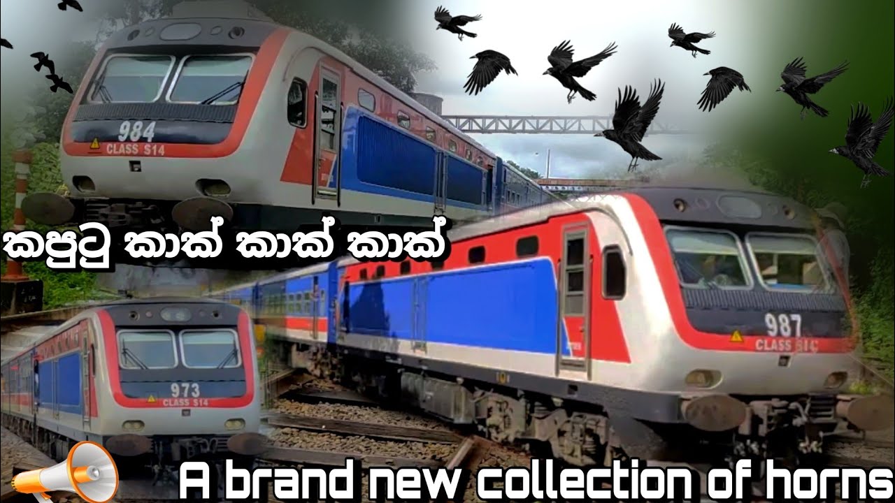 කපුටු කාක් කාක් කාක් kaputu kak kak kak Train horn version sri Lanka #newversion #gotagohome