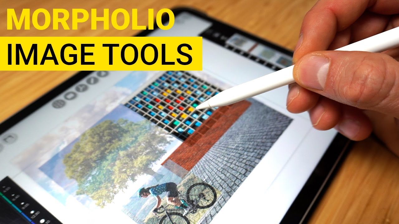 Как работать с изображениями в Morpholio Trace