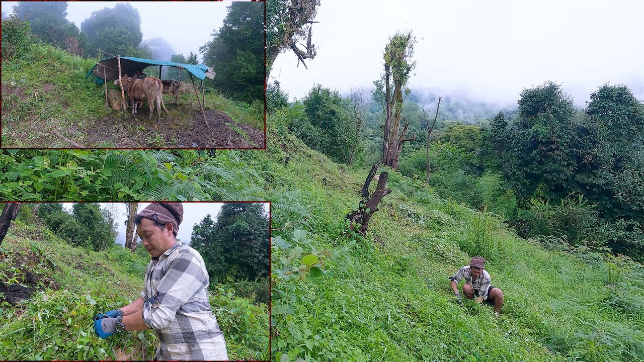 life in rural Nepal