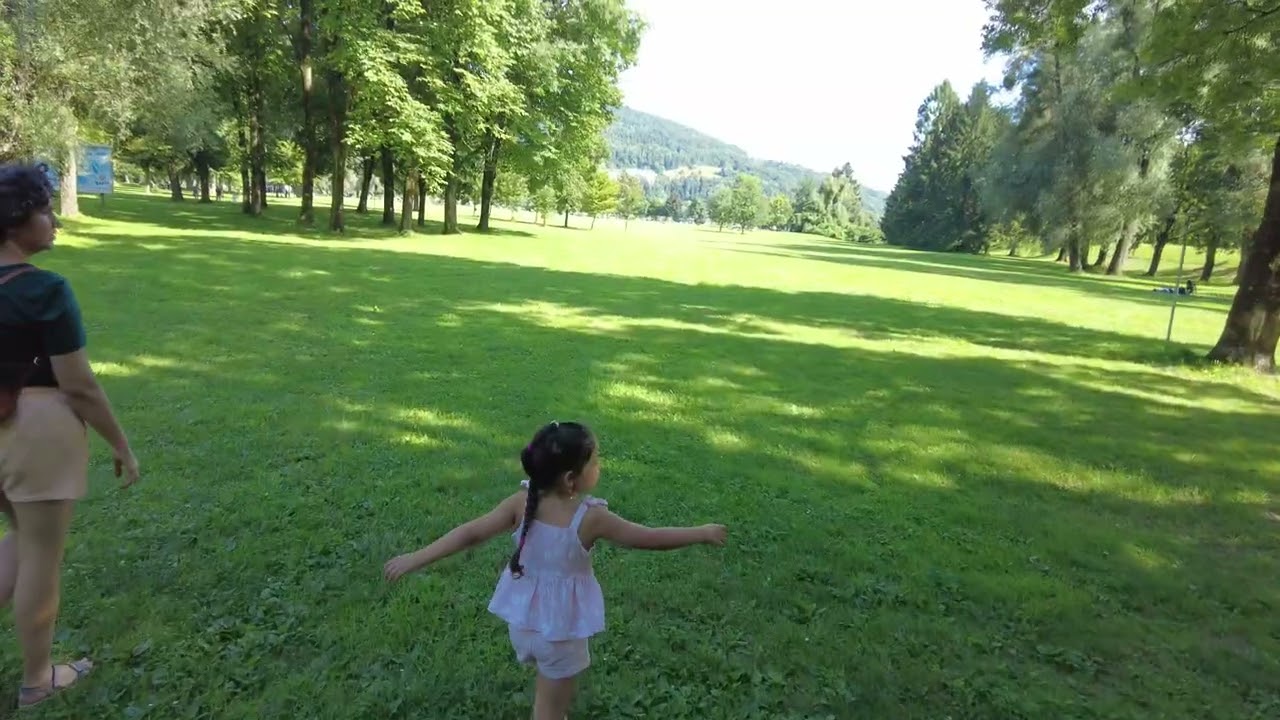 Австрия. Pleschingersee и Steyregg