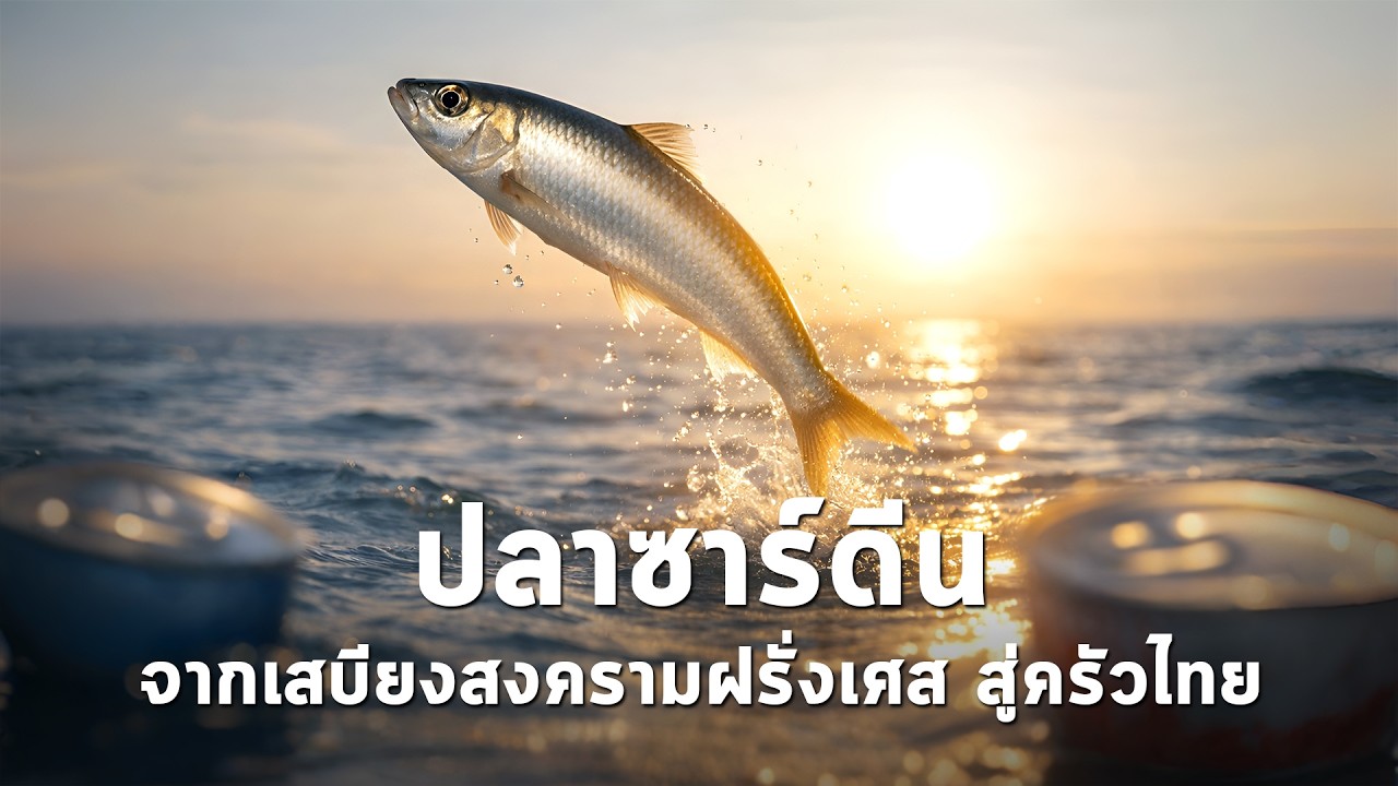 นานาสาระ ตอน ปลาซาร์ดีน จากเสบียงสงครามฝรั่งเศส สู่ครัวคนไทย!
