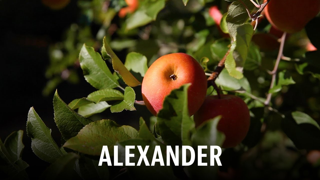 Journey Across the 100: Alexander County