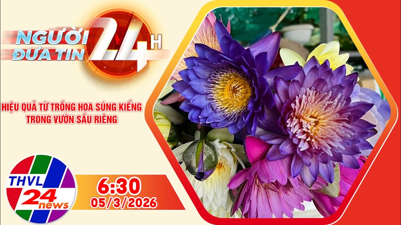 Người đưa tin 24H (6h30 ngày 05/3/2026) - Hiệu quả từ trồng hoa súng kiểng trong vườn sầu riêng