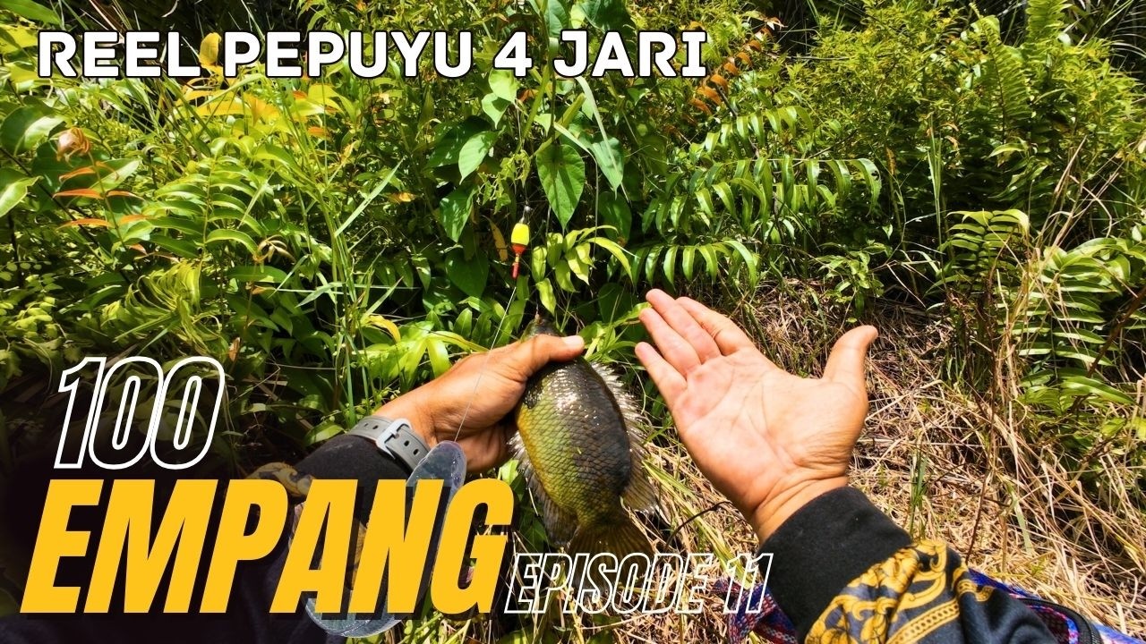 STRIKE PEPUYU 4 JARI‼️Casting Haruan Bonus Ikan Pepuyu/Betok 4 Jari (Series 