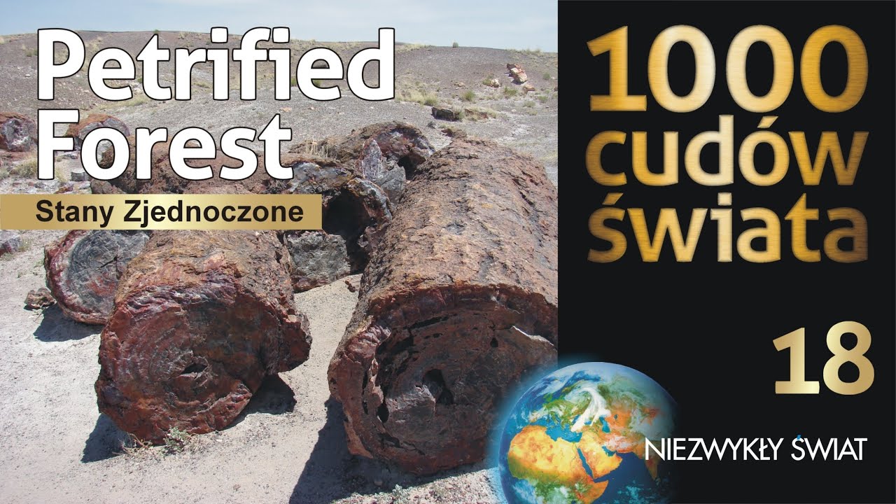 1000 cudów świata - Petrified Fores / Skamieniały las  - Lektor PL