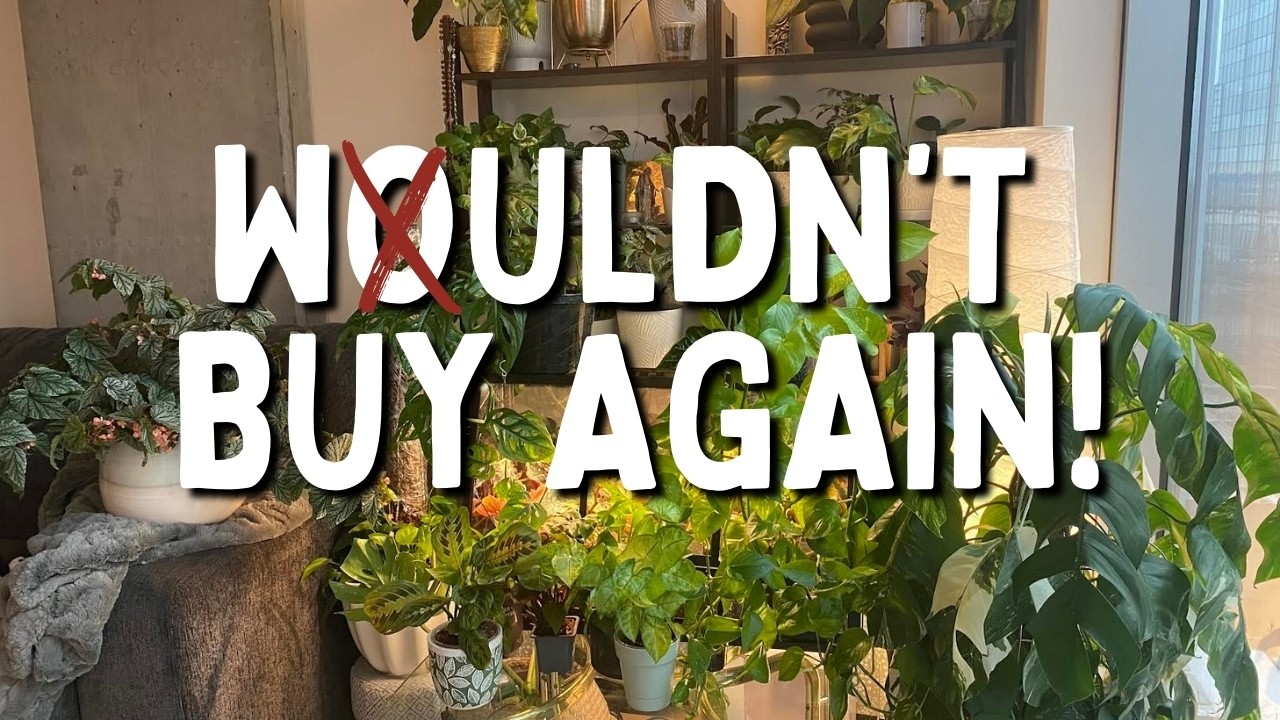 Plants I Regret Buying!!❌🌱 Houseplants I Wouldn't Buy Again!