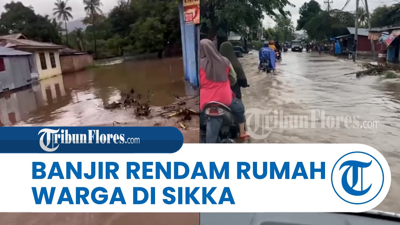 Drainase Meluap, Banjir Setinggi Betis Rendam Sejumlah Rumah Warga di Maumere Sikka