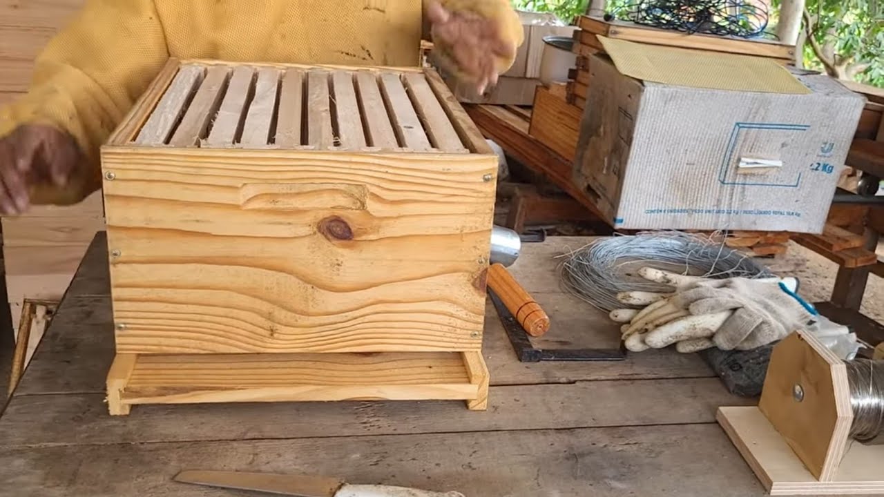 MATERIAL que PRECISA para INICIAR na apicultura/ criação de abelha 🐝