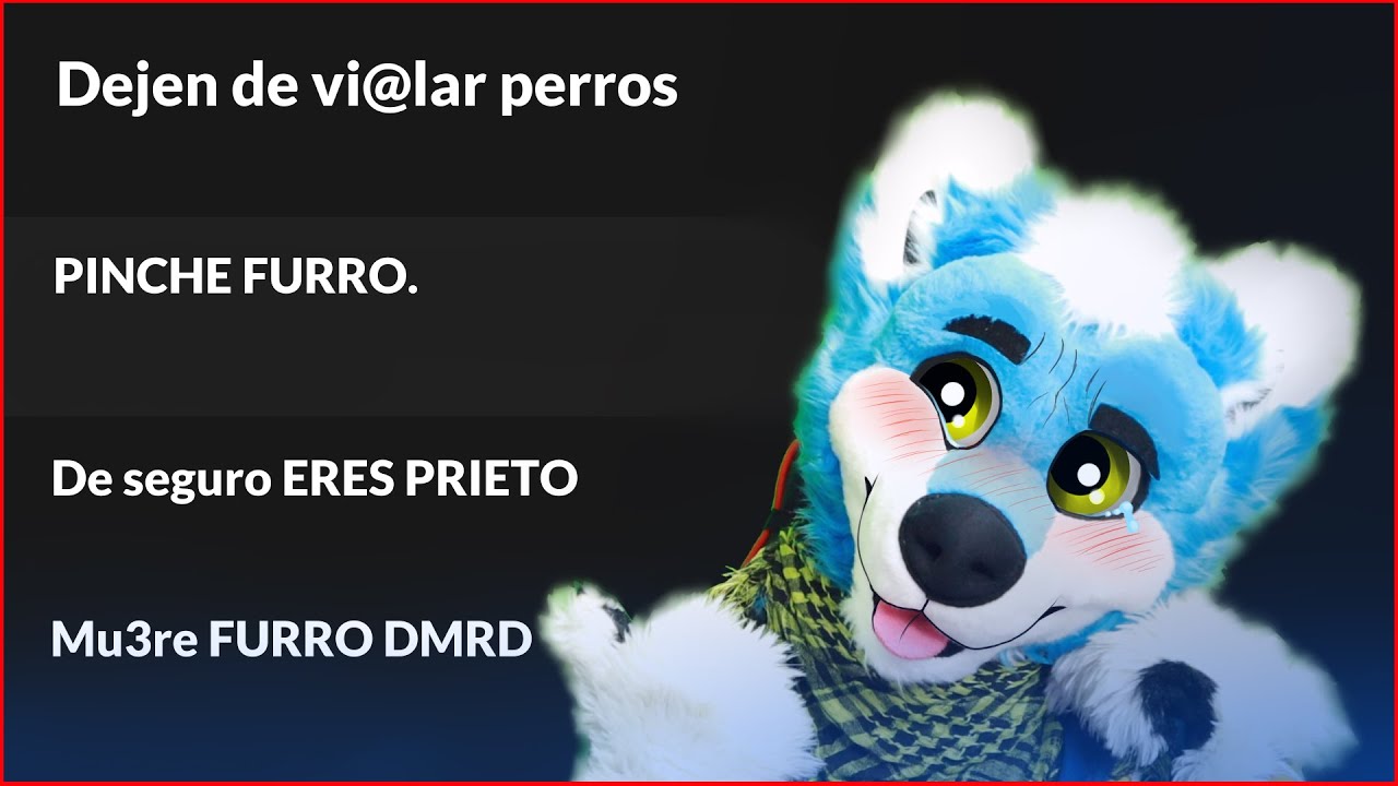 Humillando Comentarios De Haters 