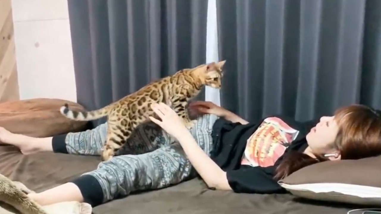 最後まで病と闘い最後に奇跡を見せてくれた猫