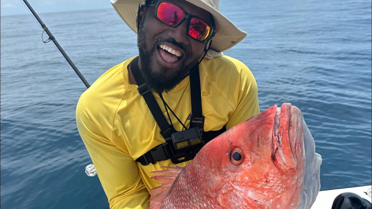 Open Season RED SNAPPER     N   Open season SHARKS