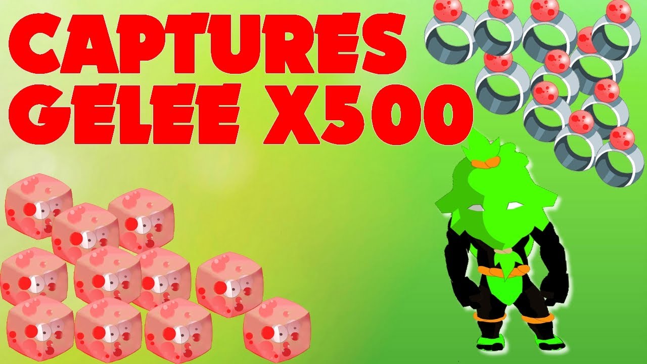 FARM 500 CAPTURES GELÉE  = DES MILLIONS DE KAMAS