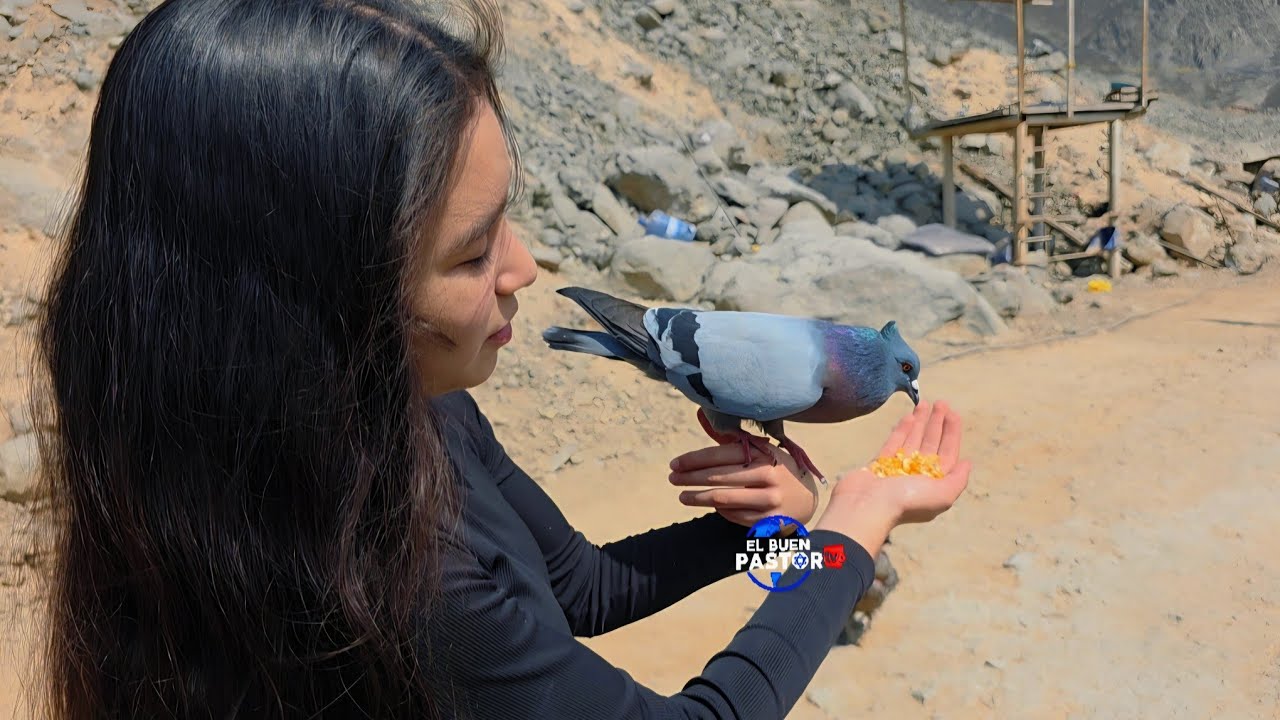 DÉBORA CON EL DODO DEL MONTE 🕊🦅🐦😃🌍🌏🌎🇮🇱🔥