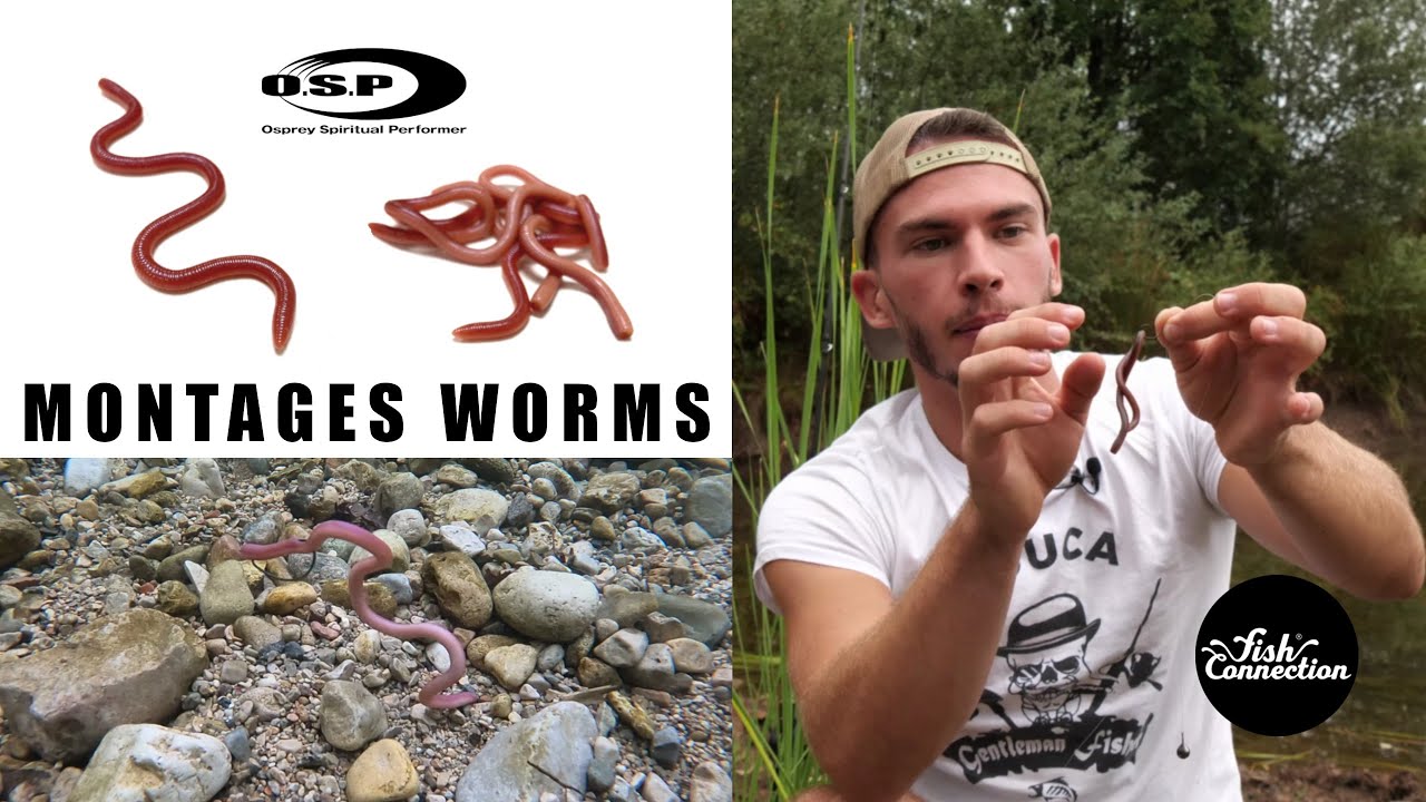 Présentation des worms O.S.P et des différents montages par MULTA FISHING.