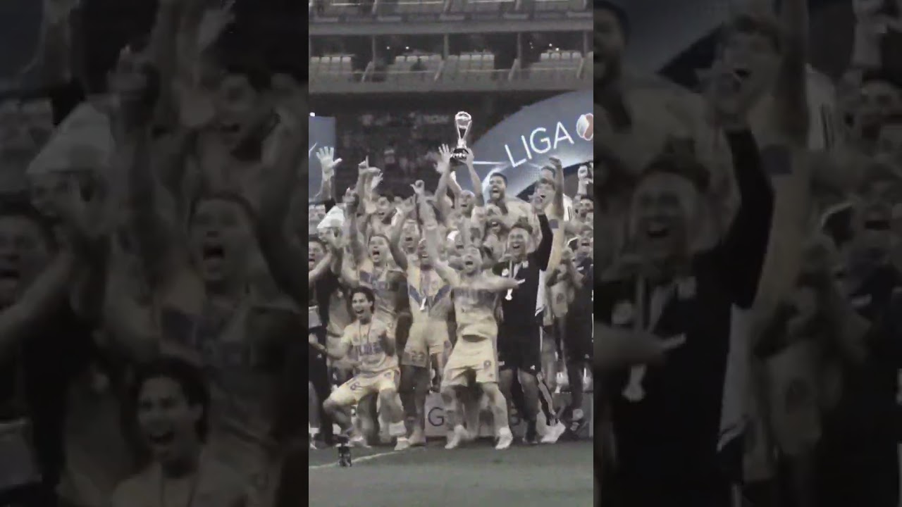 tigres es campe&oacute;n 🏆 #estoestigres #tigres #tigrescampe&oacute;n #tigresvschivas