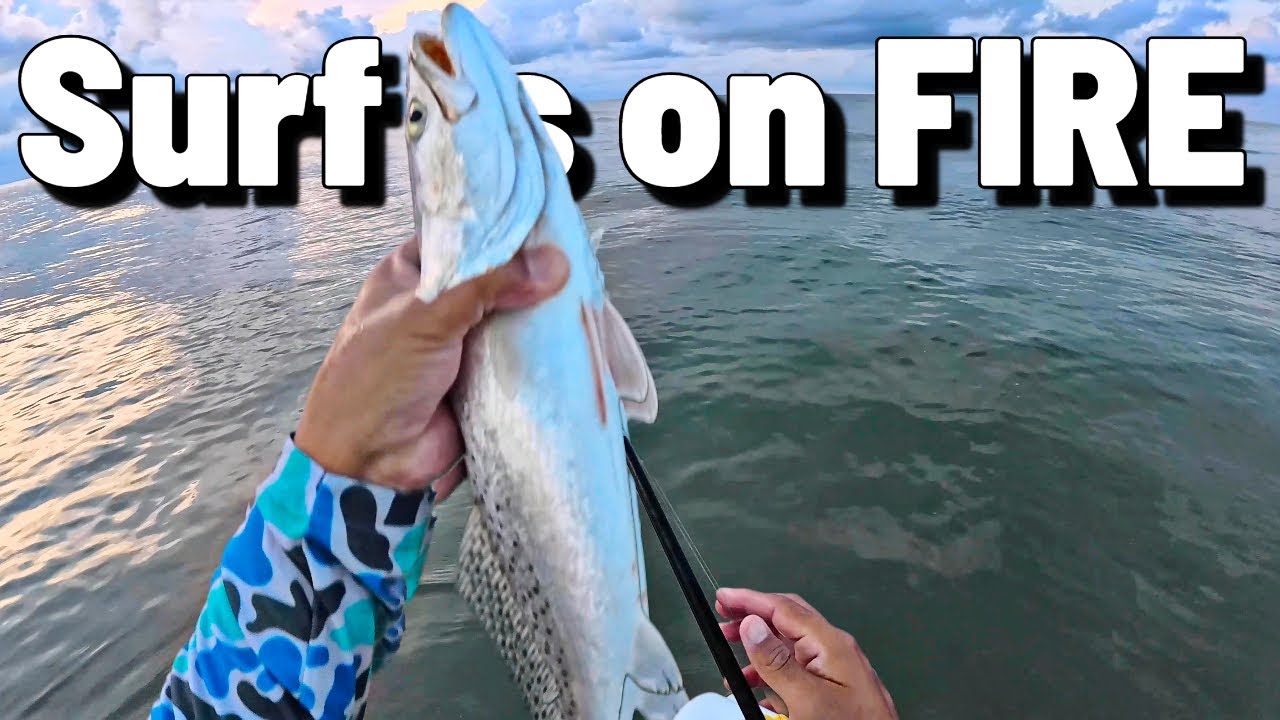 Surf Fishing is ON FIRE! 🔥 Fast Limit of Speckled Trout