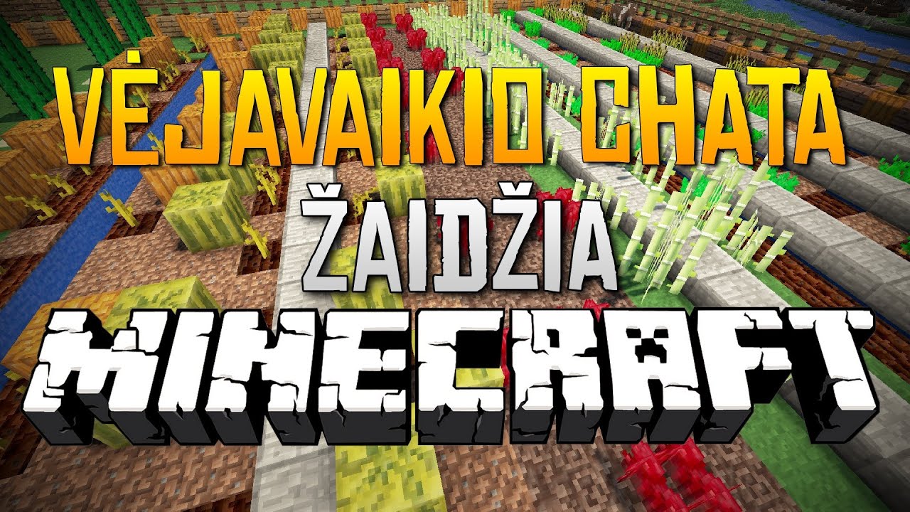 Vėjavaikio Chata žaidžia: Minecraft [Ep 11] Kengūra tūsina :D
