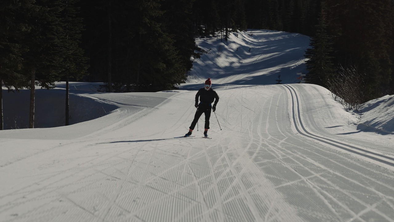 The North Okanagan's Nordic Secret: 105 Kilometers of Winter Wonder