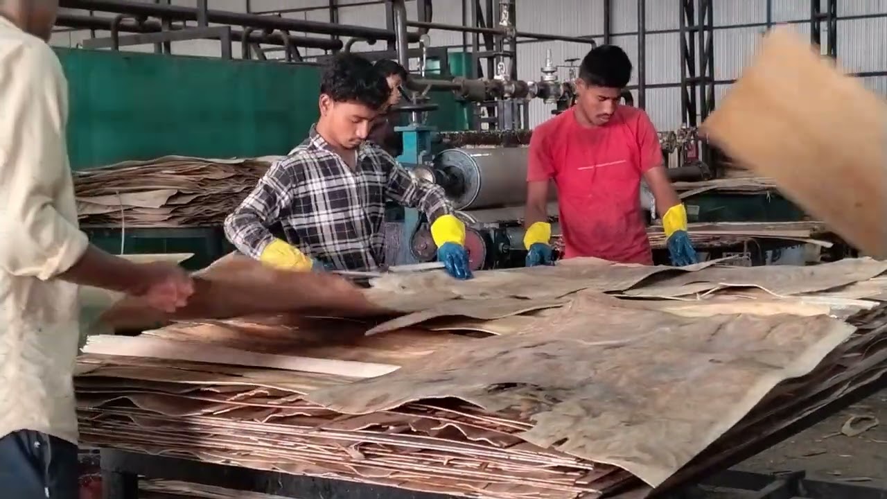 PLYWOOD MAKING 