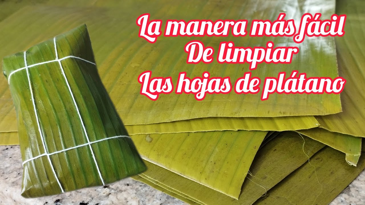 COMO LIMPIAR Y PICAR LAS HOJAS DE PLÁTANO PARA HACER HALLACAS O BOLLOS @SABORES VENEZOLANOS