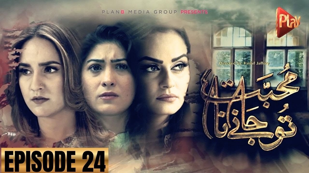 Mohabbat Tu Jane Na Episode 24 || Jawariya & Hannan | New Pakistani Drama | Play TV