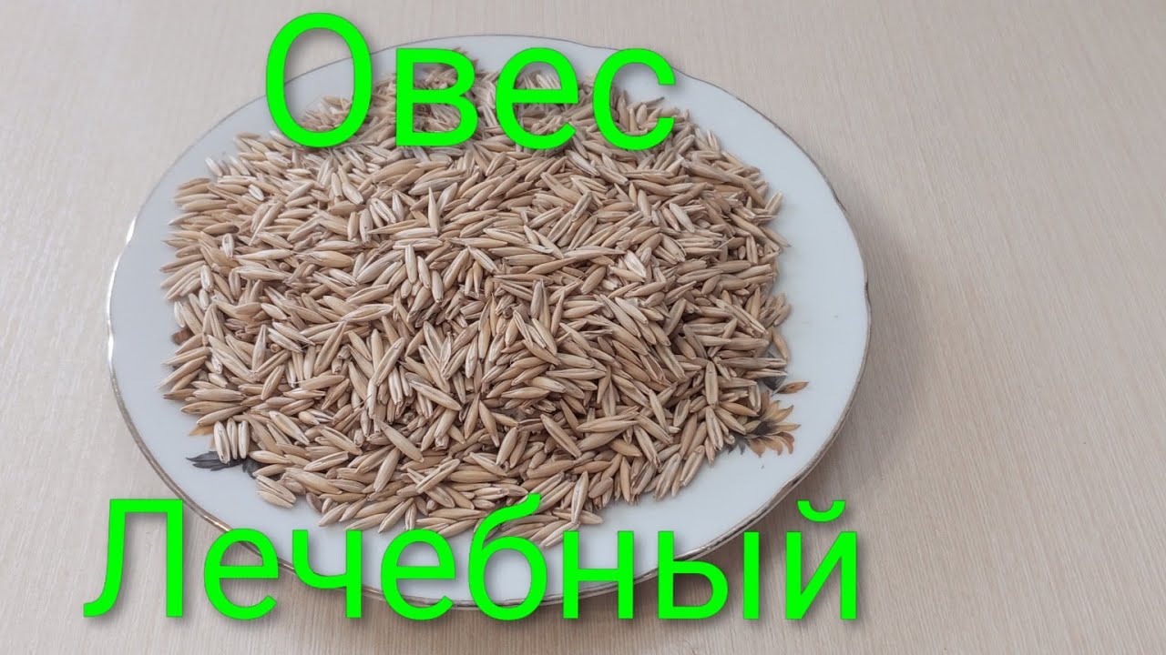 Как правильно заваривать овес.