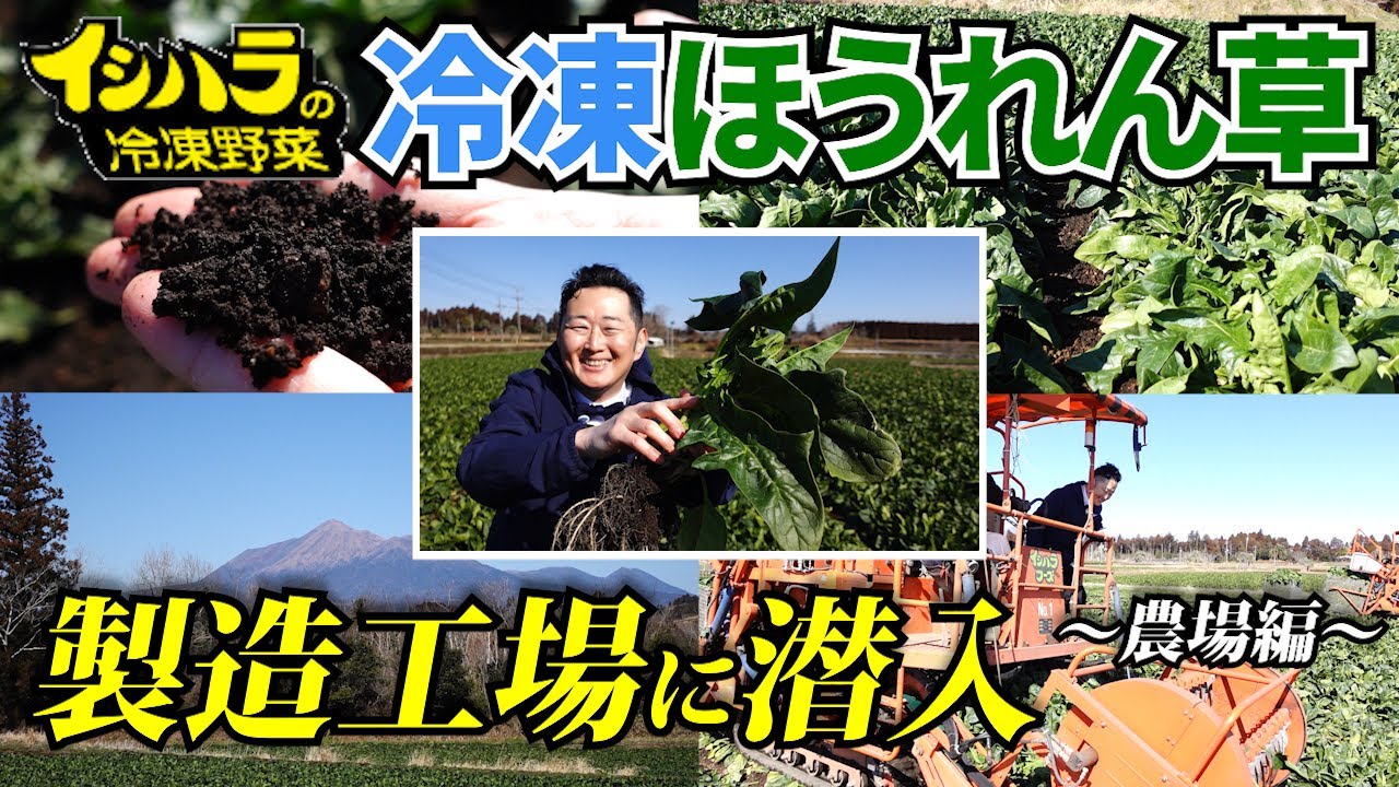 Пробираемся на японскую фабрику по производству замороженного шпината! [Поля в Миядзаки]