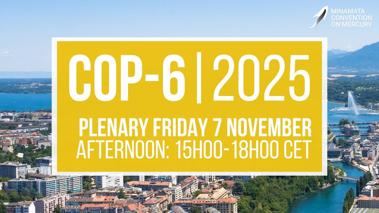 #MinamataCOP6: Afternoon Plenary (7 November 2025)