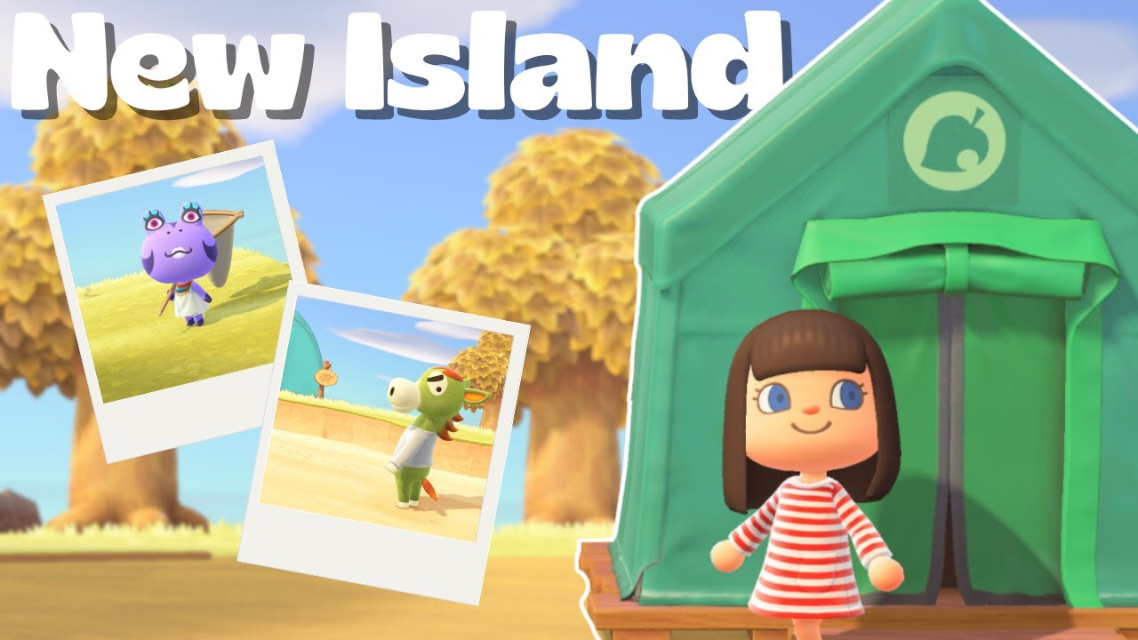 New Island Sunflora | Cozy Longplay No Treasure Island | ACNH Playthrough