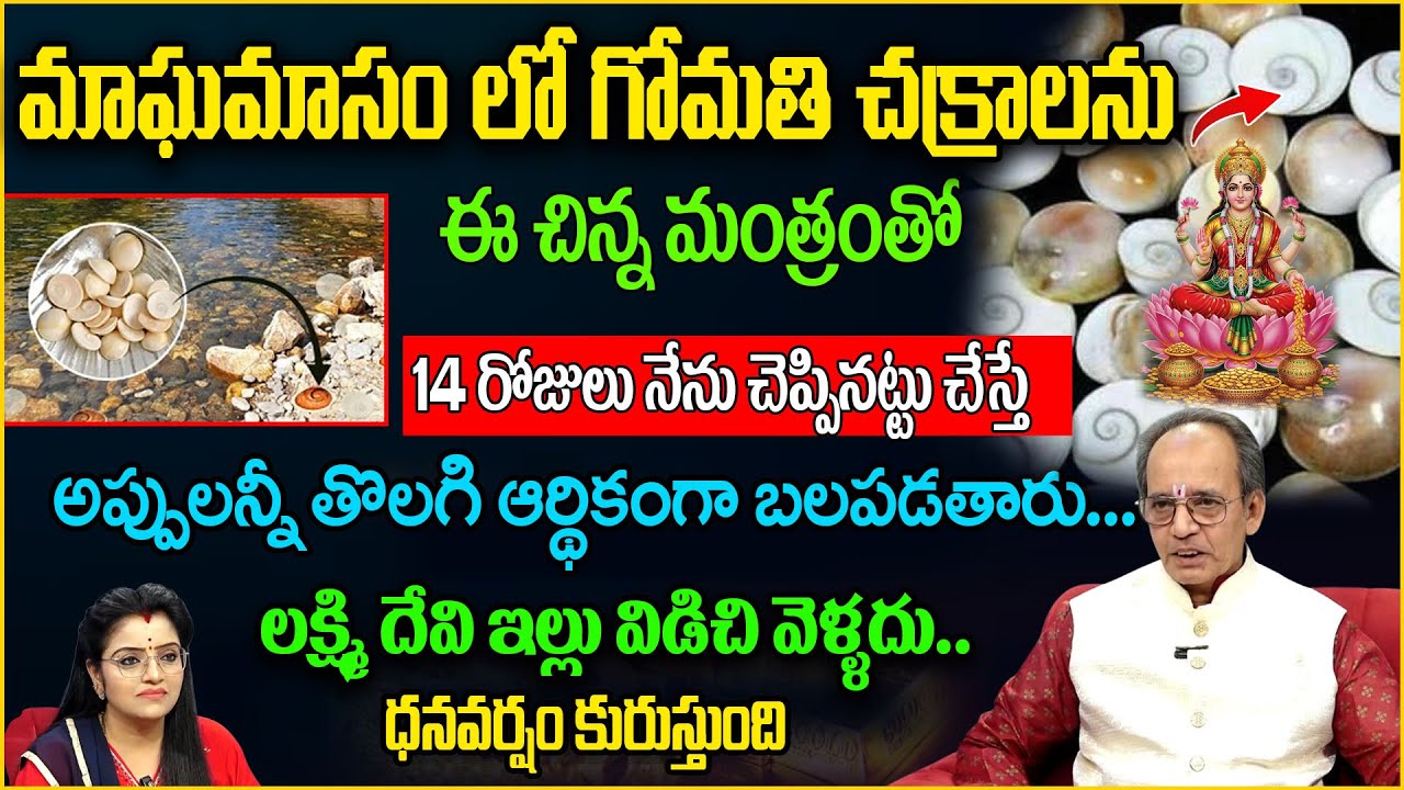 గోమతి చక్రాలతో ఇలా చేస్తే విజయం | Gomati Chakra remedy | ksr | anchor Padmini |@SumanTVAbhishekam