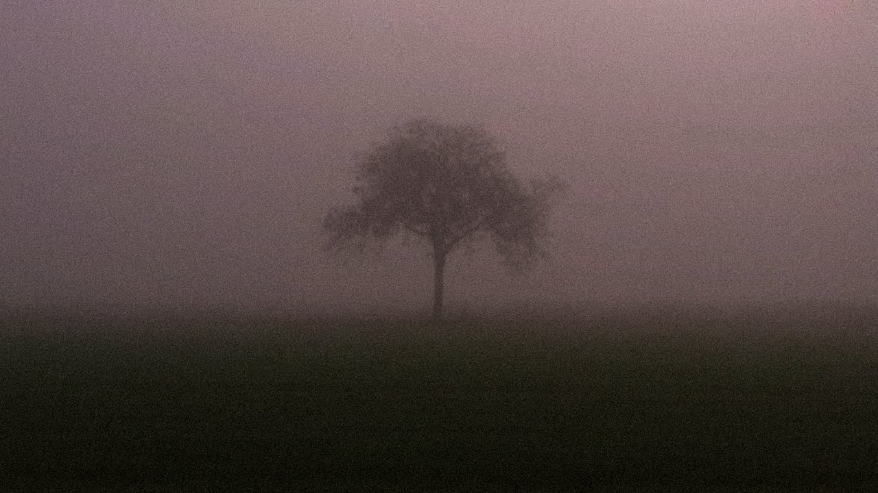 use this playlist when you feel alone