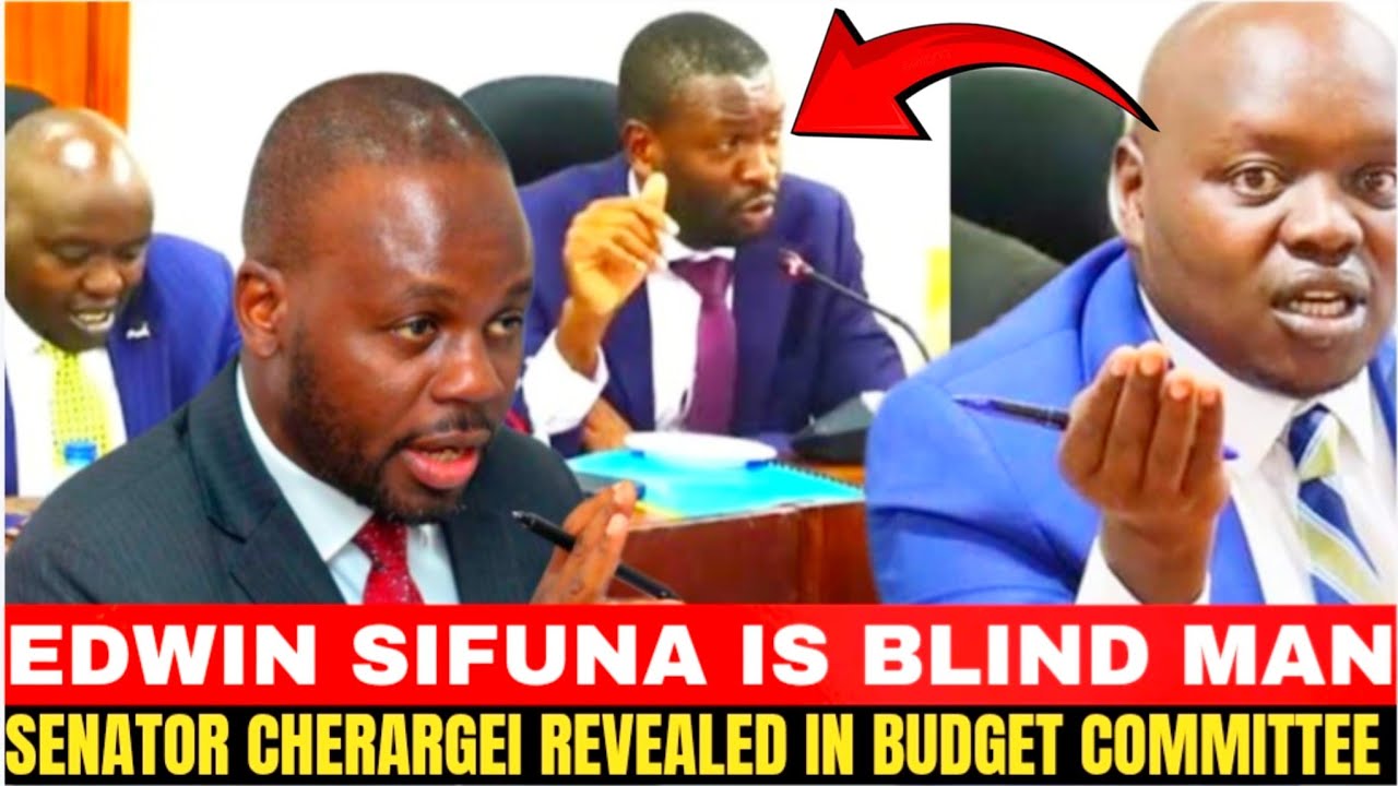 EDWIN SIFUNA IS BLIND MAN!!SENATOR CHERARGEI REVEALED IN BUDGET COMMITTEE 