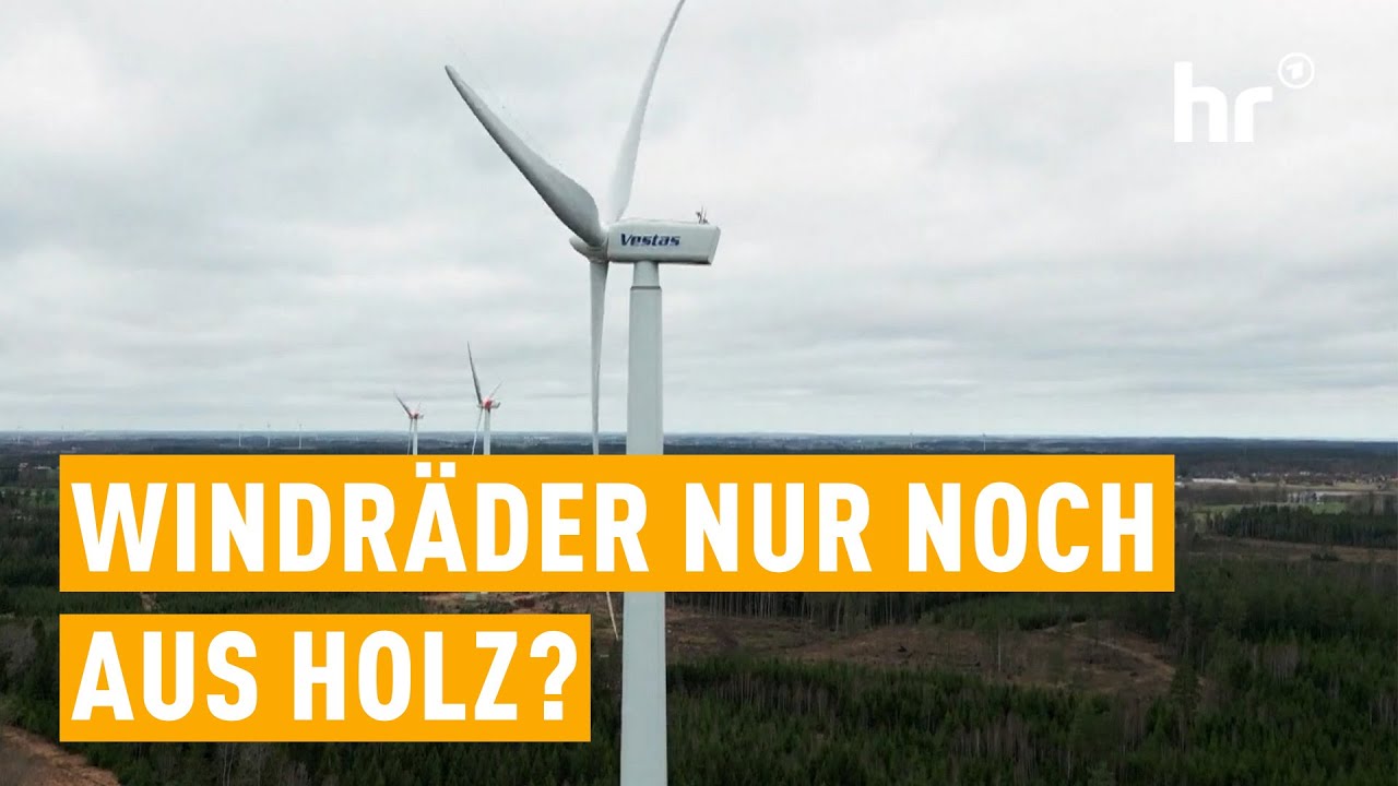 Wie ein Windrad aus Holz für Aufsehen sorgt | mex