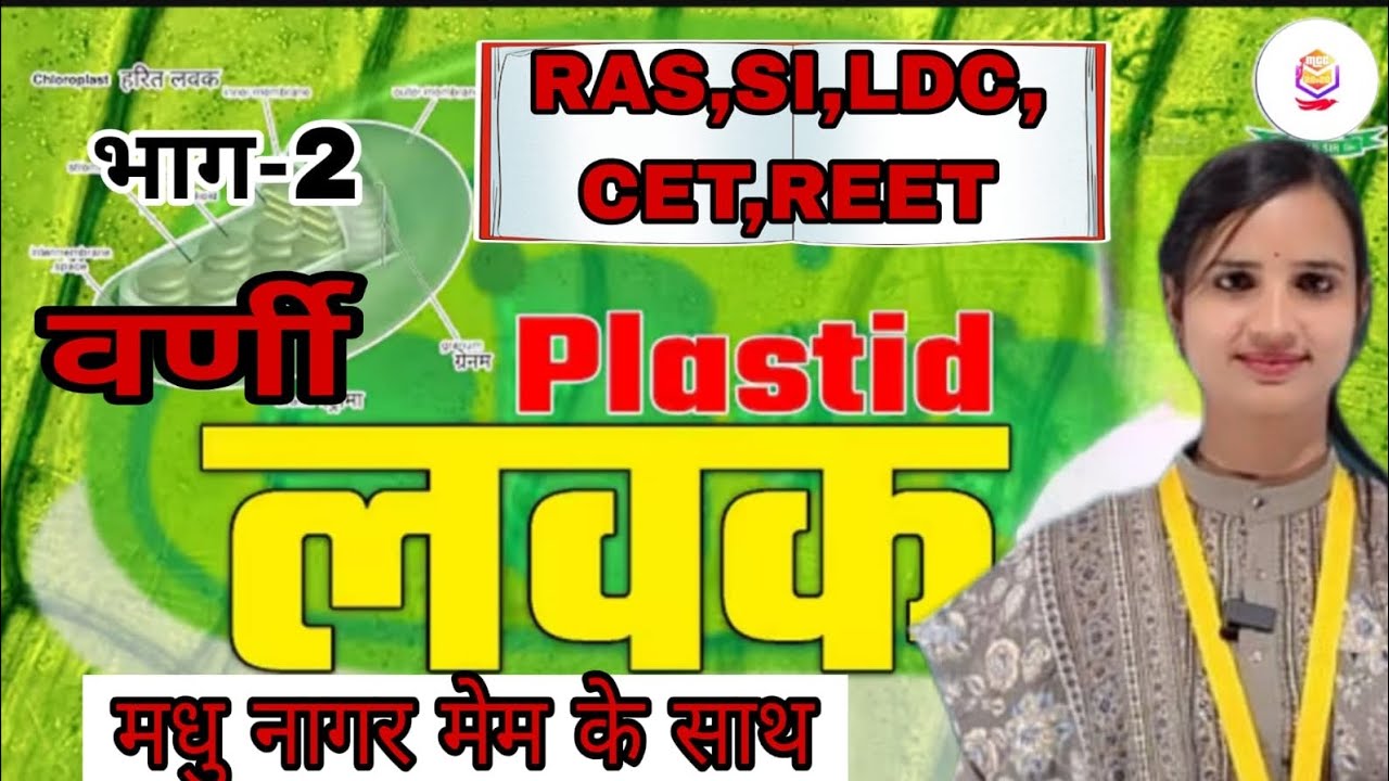 वर्णी लवक।। 