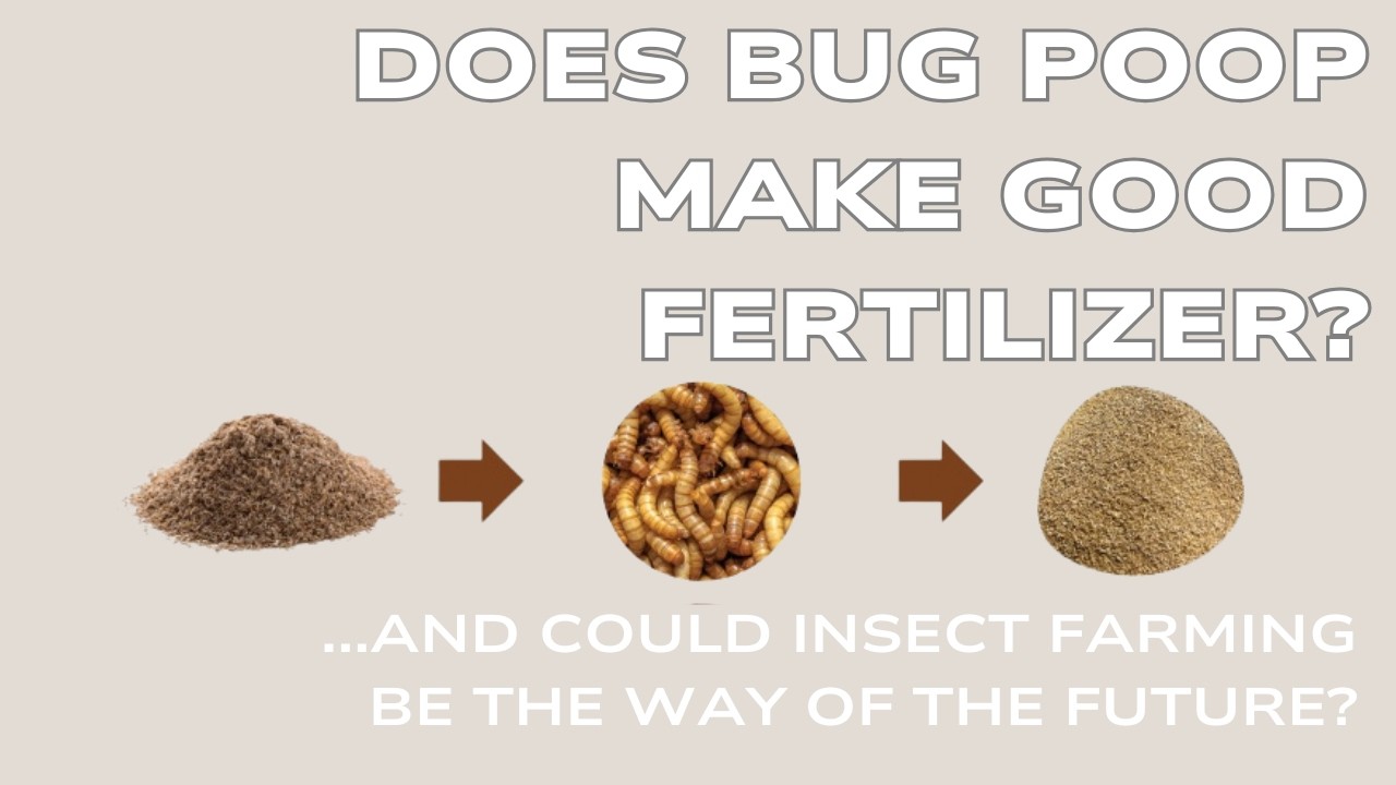 Does bug poop make good fertilizer?