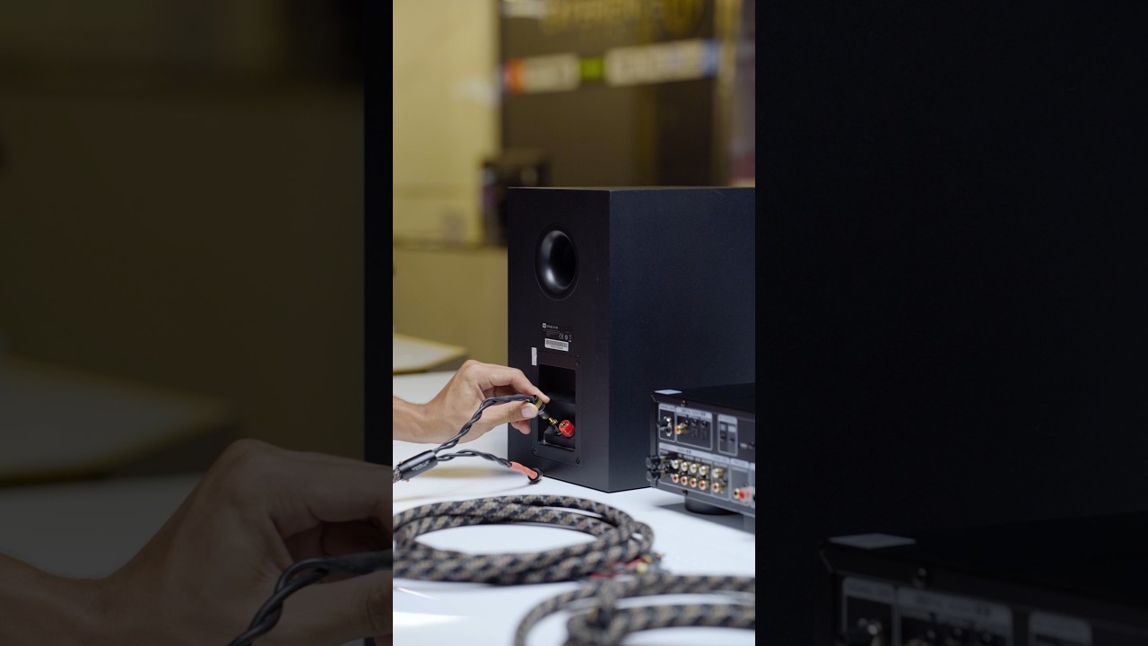 JBL Stage A130 Bookshelf Speakers Setup | Denon PAM-600NE