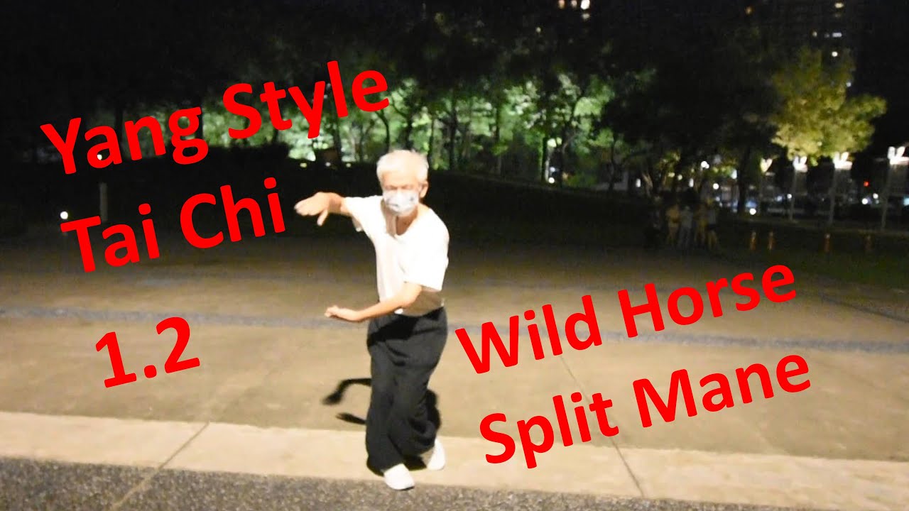 Yang style Tai Chi 1.2  Wild Horse Split Mane  #lesson #teching #course #application