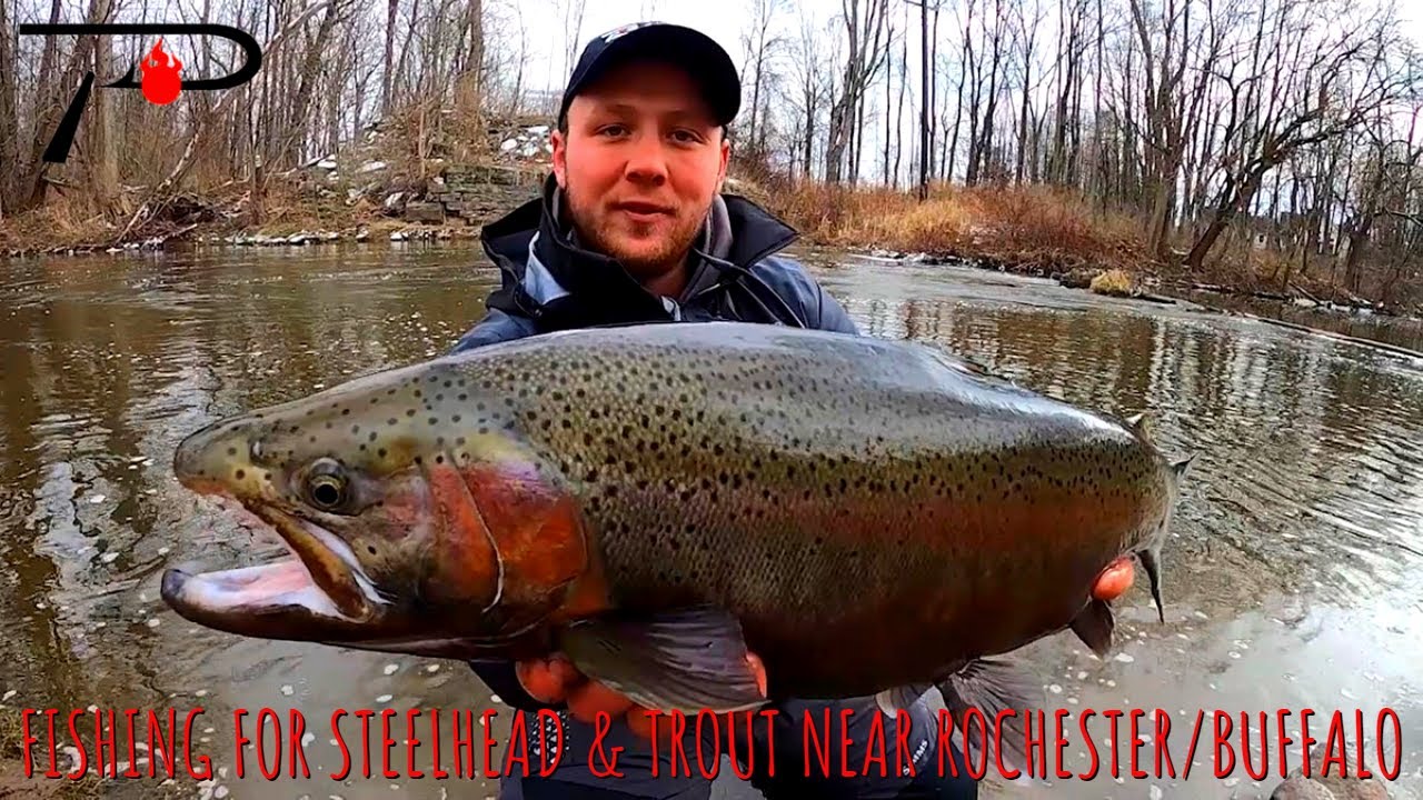 Fishing for Steelhead & Trout Near Buffalo & Rochester