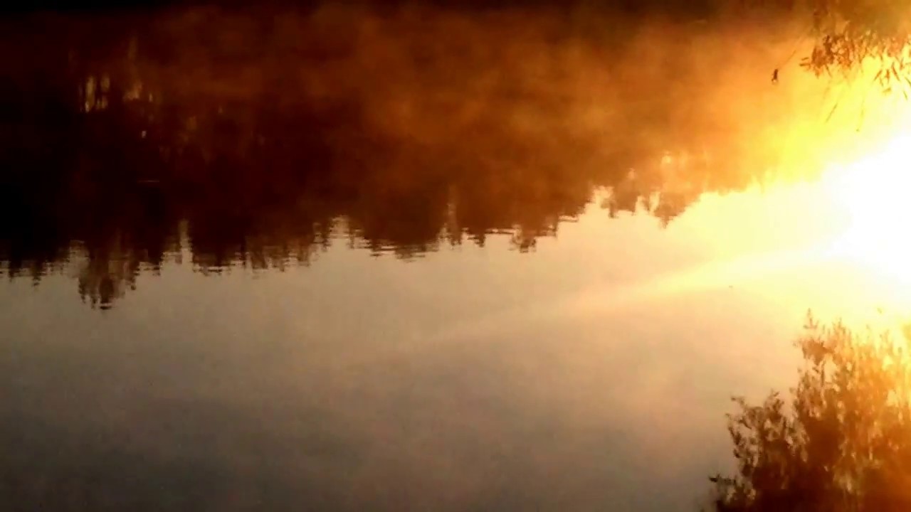 утро 11.10.2017