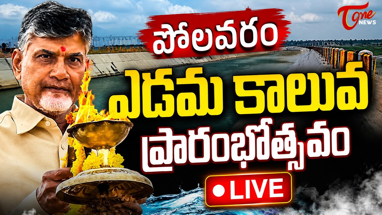 CM Chandrababu Naidu 