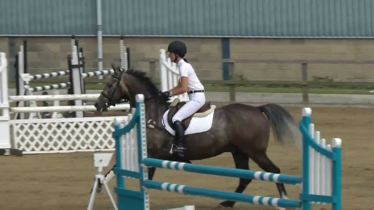Bryony Holloway... www.comphorses.net