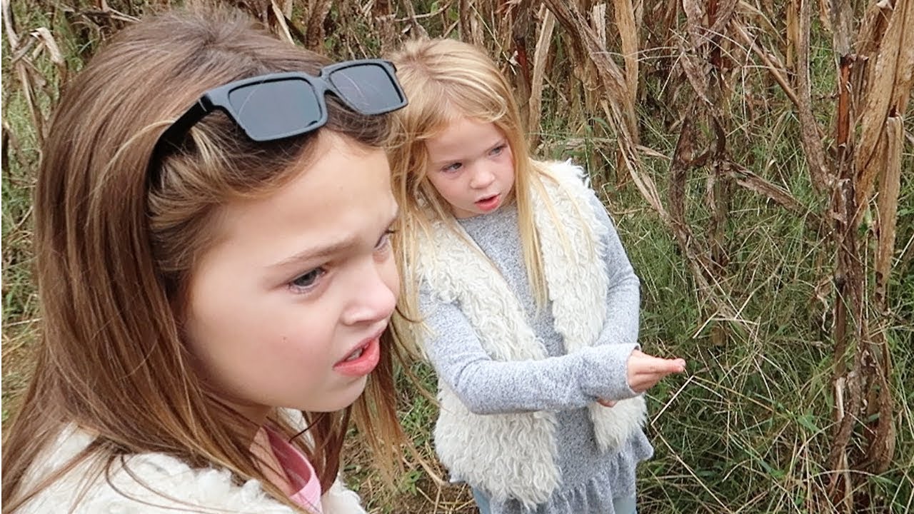 We Lost our Toys in the Corn Maze!