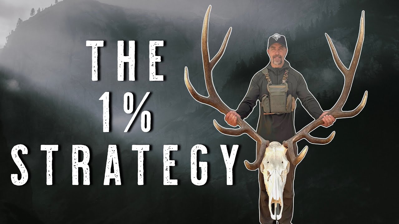 Как ежегодно убивать лосей на общественных землях — советы и тактика охоты на лосей