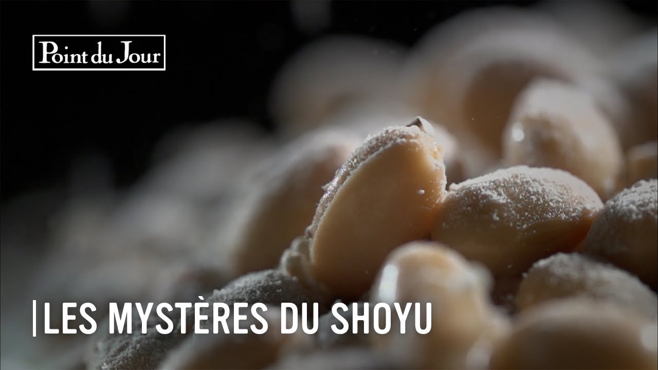 La complexité du Shoyu, la sauce soja Nippone