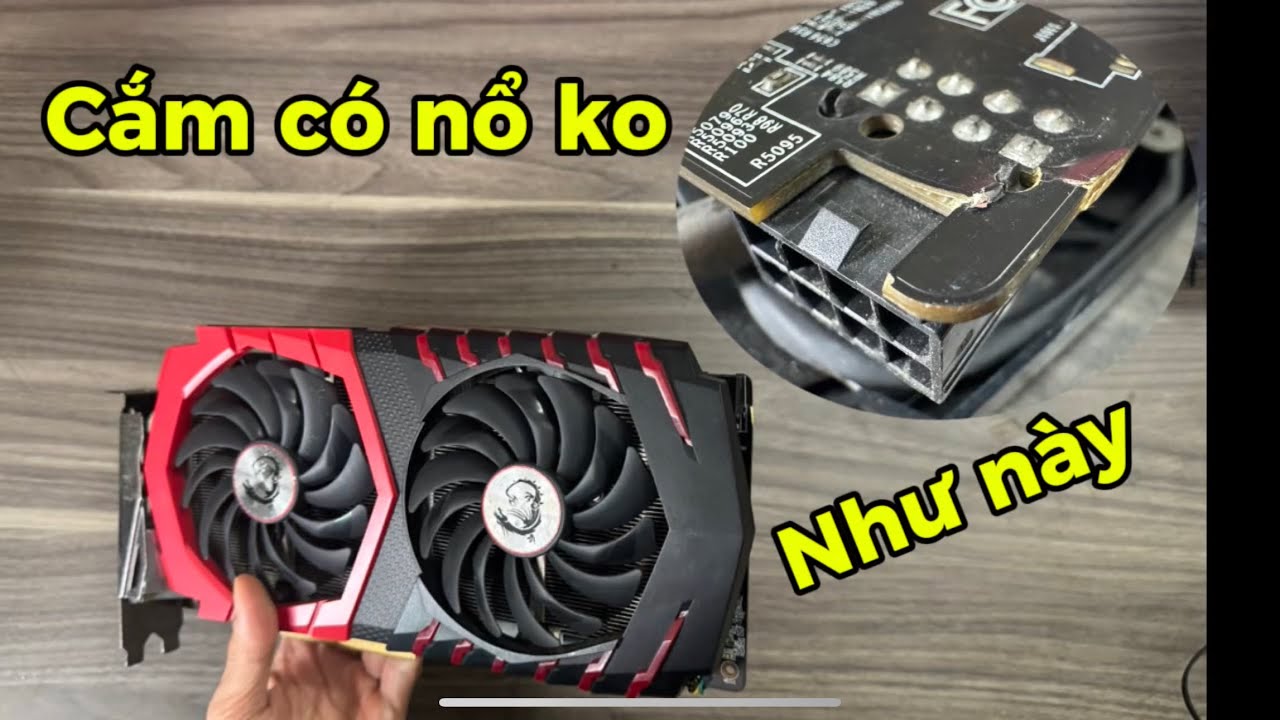 Bị Ngu Khi Đóng Hàng và Cái Giá Phải Trả